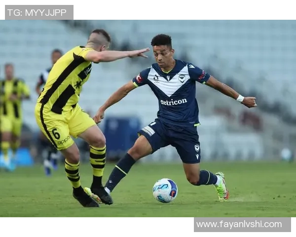 FC首尔与墨尔本胜利精彩对决回放全程解析与精彩瞬间重温